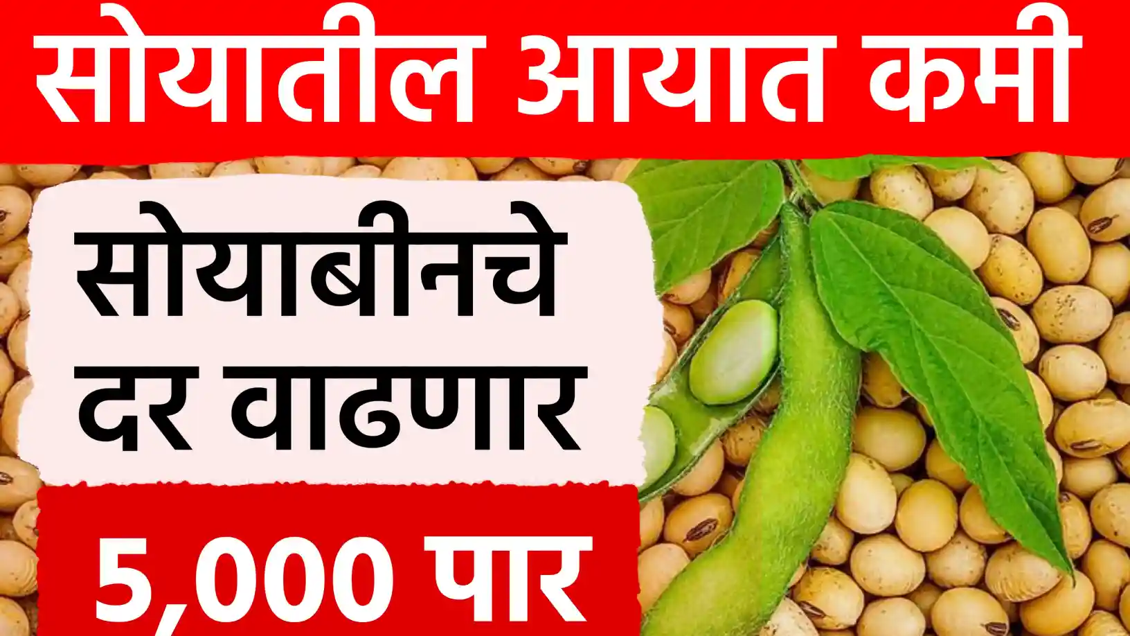 सोयाबीन दर