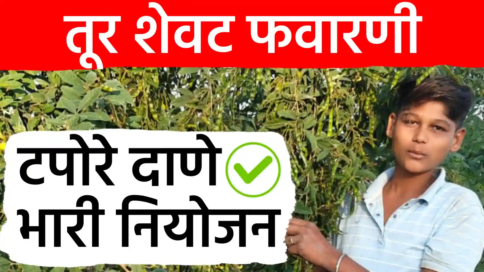 तूर शेवटची फवारणी