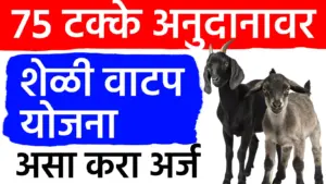 ७५% अनुदानावर मिळणार शेळी गट! नानाजी देशमुख कृषी संजीवनी प्रकल्पाचा मोठा निर्णय
